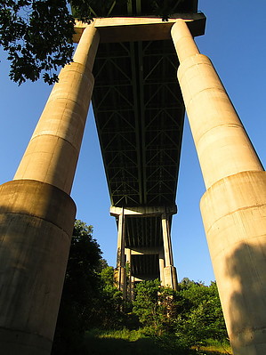 feature photo