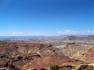 feature photo
