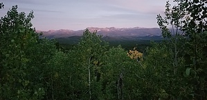 feature photo