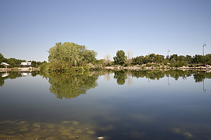 feature photo
