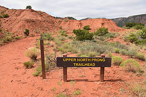 feature photo
