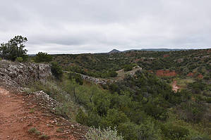 feature photo