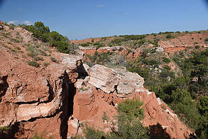 feature photo
