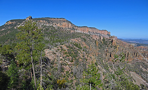 feature photo