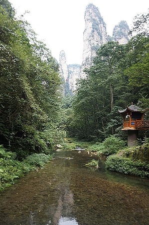 feature photo