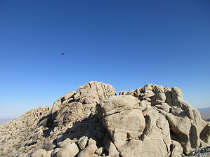 feature photo