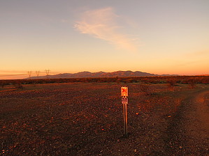 feature photo