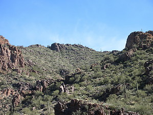 feature photo