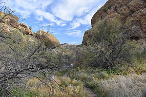feature photo