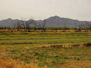 feature photo