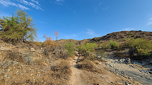 feature photo