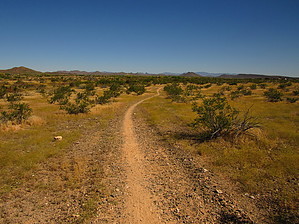feature photo