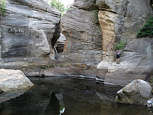 feature photo