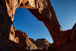 feature photo