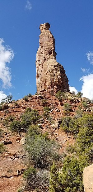 feature photo