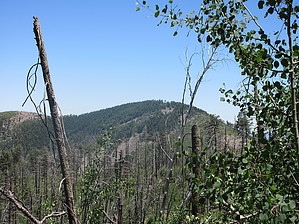 feature photo