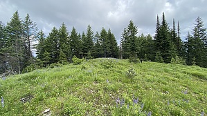 feature photo