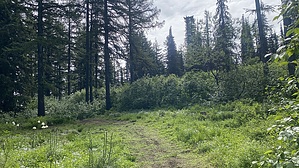 feature photo