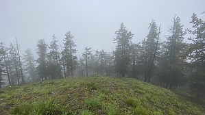 feature photo
