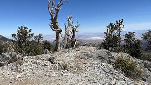 feature photo