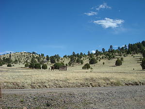feature photo