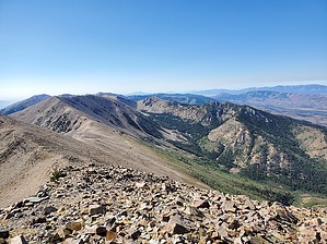 feature photo