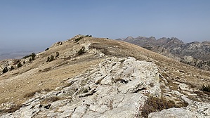 feature photo