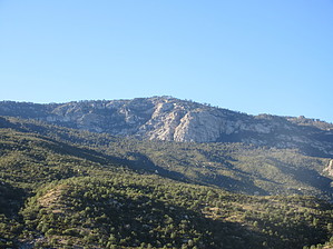 feature photo