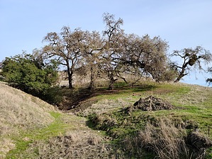 feature photo