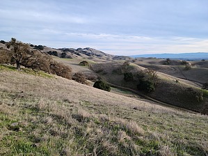 feature photo