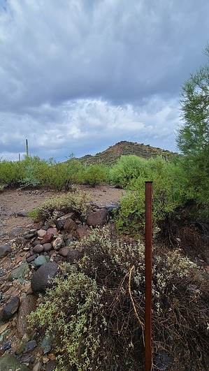 feature photo