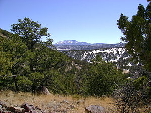 feature photo