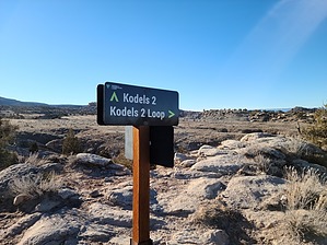 feature photo