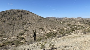 feature photo