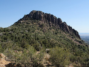 feature photo