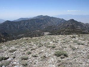 feature photo