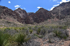 feature photo