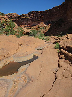 feature photo