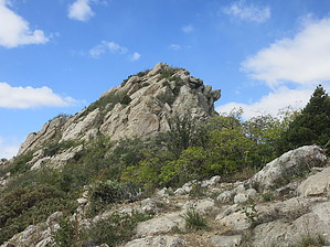 feature photo