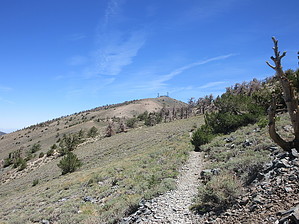 feature photo