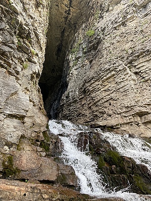 feature photo