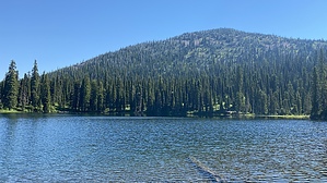 feature photo