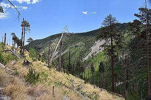 feature photo