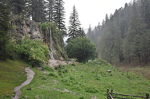 feature photo