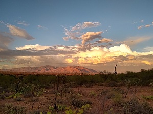 feature photo