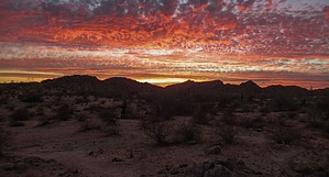 feature photo