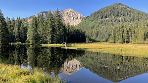 feature photo