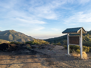 feature photo
