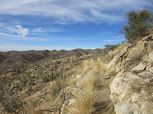 feature photo