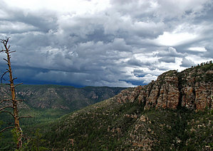 feature photo